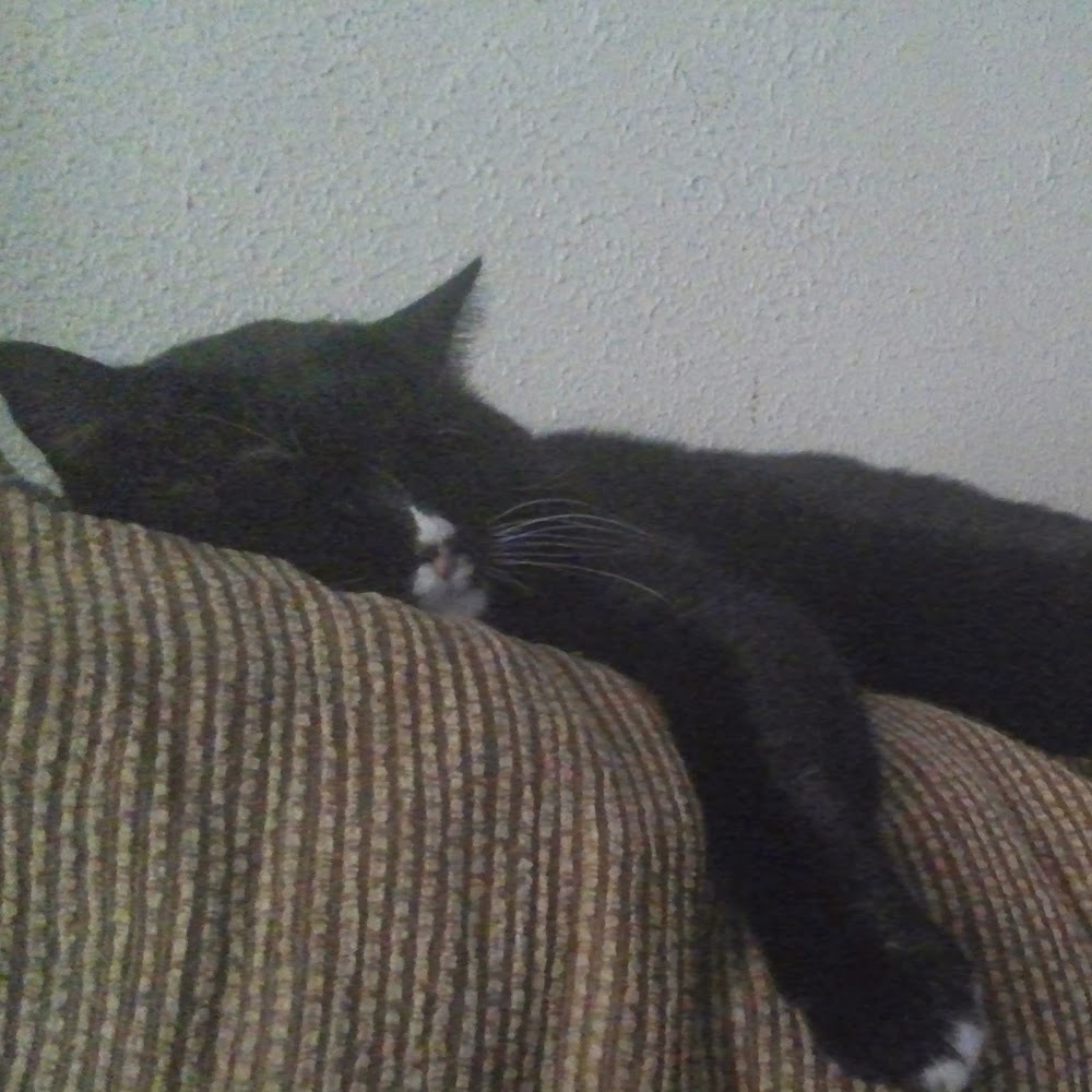 Meet your Posher, Hope'n love